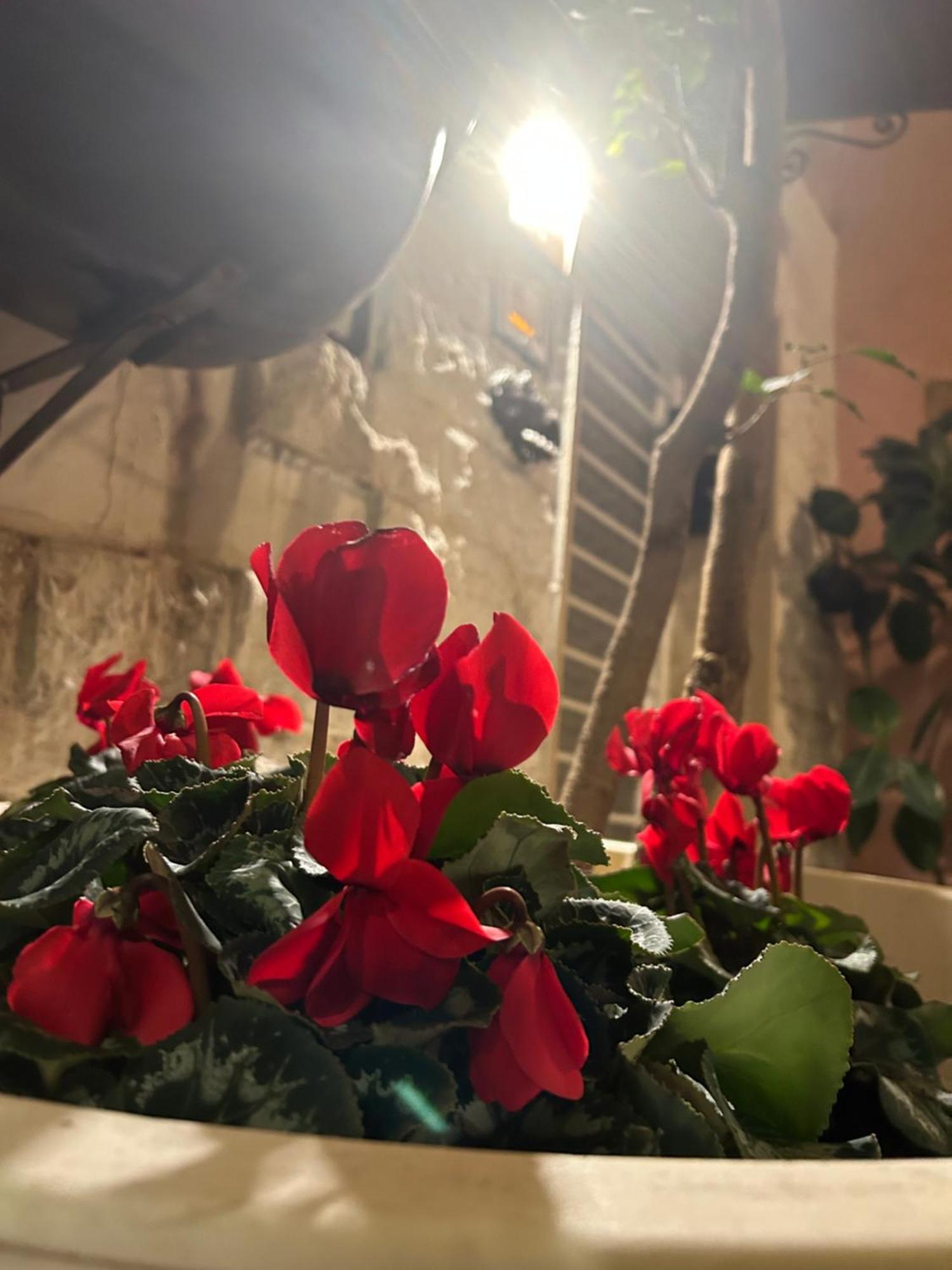 B&B Bari Vecchia R Exterior foto